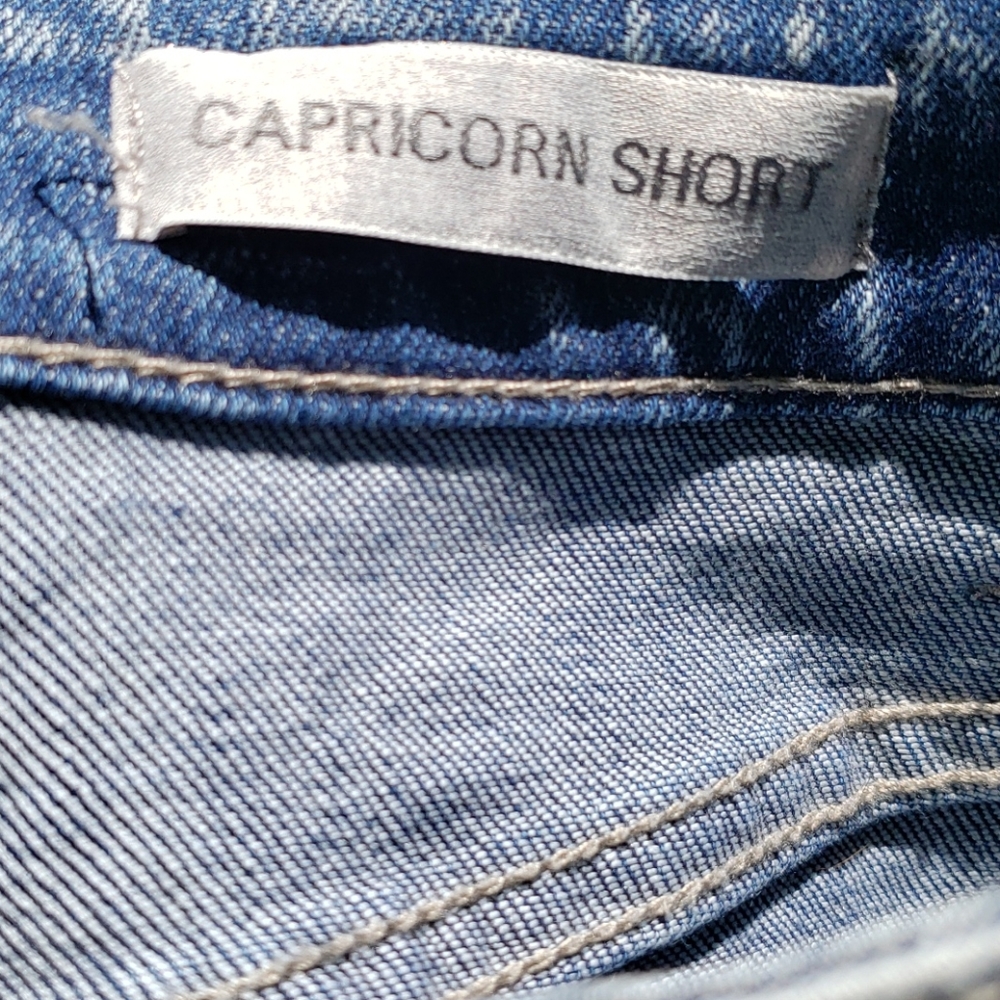 Daytrip Sequin Distressed Denim Jean Shorts 26 - Picture 3 of 9
